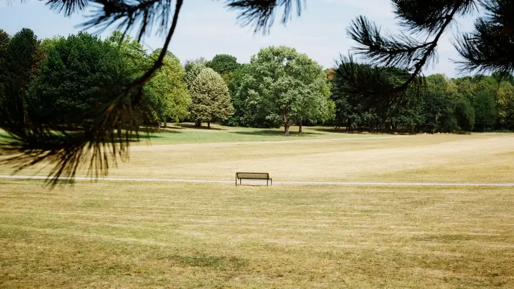 A park bench sitting on scorched, dried-out grass during a summer heatwave